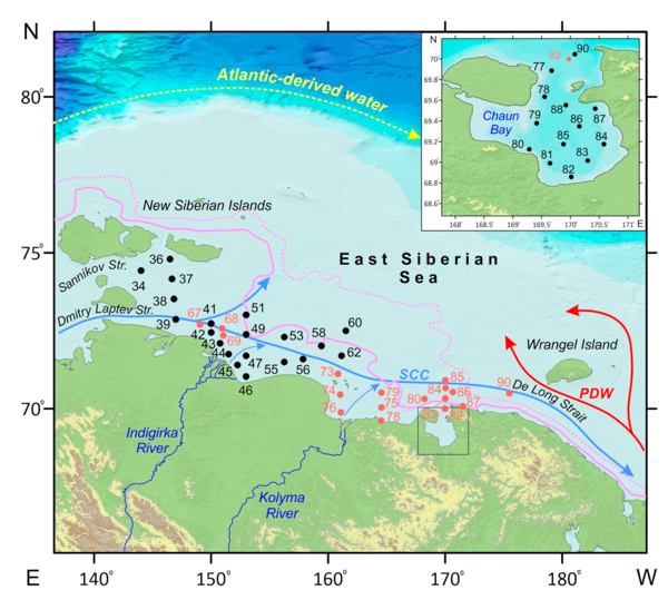 Исследование фауны остракод Восточно-Сибирского моря 1-2.png (png, 410 Kб)