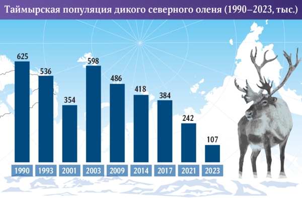 Численность таймырской популяции дикого северного оленя достигла критического уровня 1-1.jpg (jpg, 142 Kб)