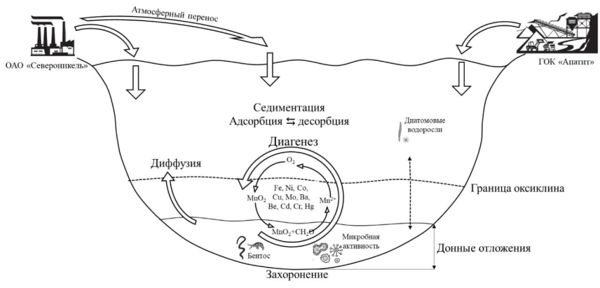 Роль биогеохимических процессов в формировании вод и донных отложений в период снижения антропогенного загрязнения на примере озера Имандра 2-2.jpg (jpg, 30 Kб)